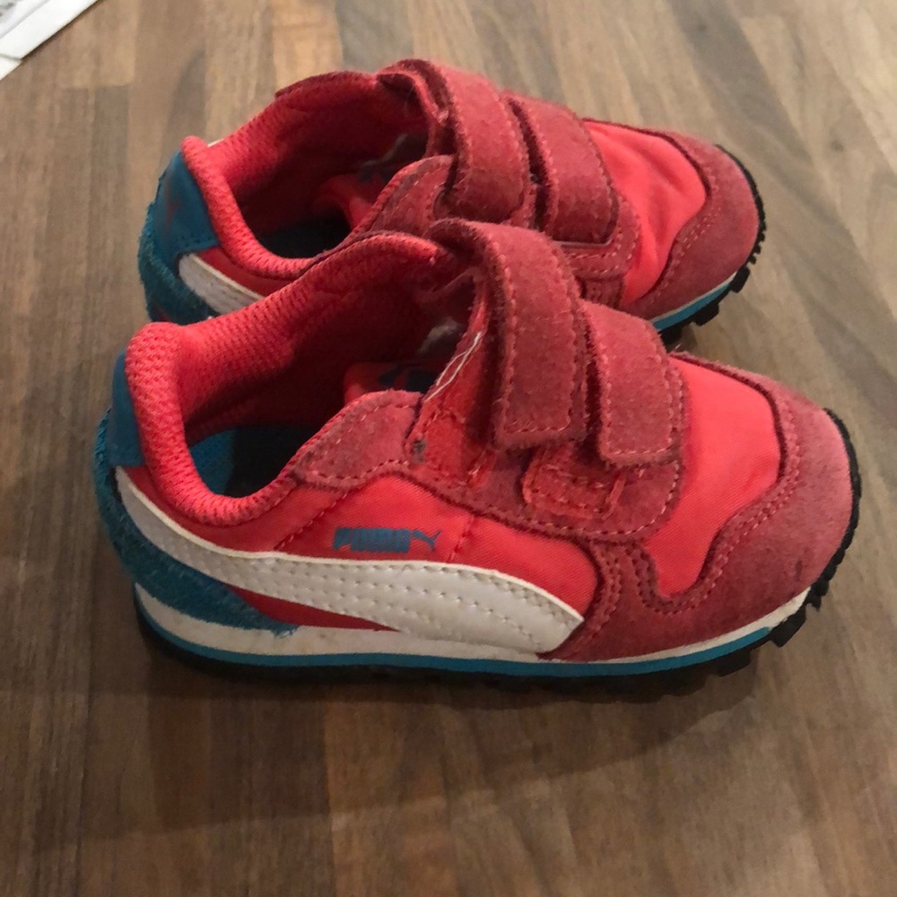 Pumas - Picture 2 of 4